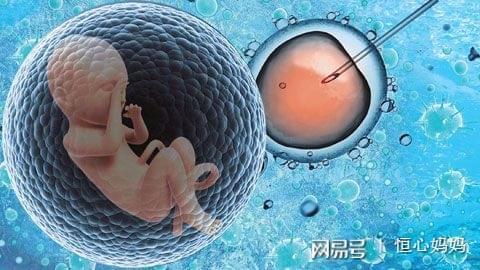 陈医生